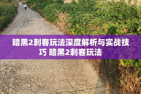 暗黑2刺客玩法深度解析与实战技巧 暗黑2刺客玩法
