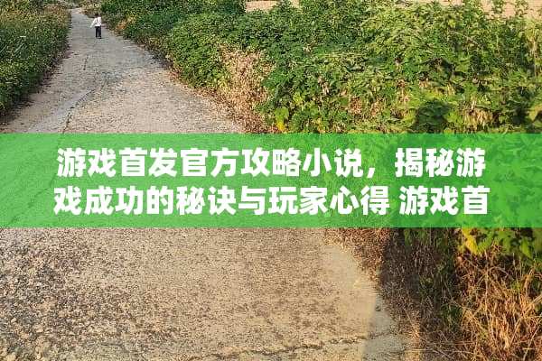 游戏首发官方攻略小说，揭秘游戏成功的秘诀与玩家心得 游戏首发官方攻略小说