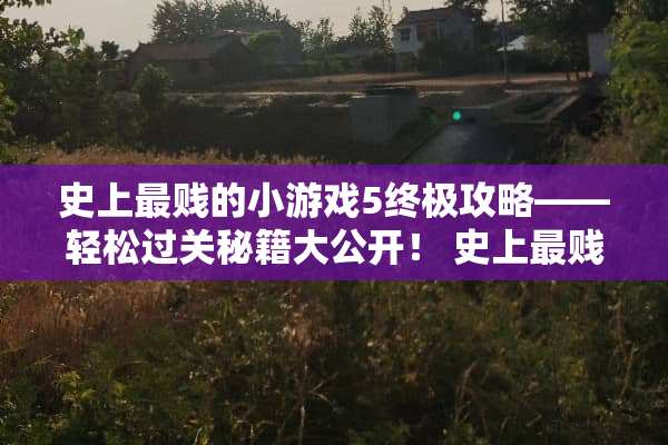 史上最贱的小游戏5终极攻略——轻松过关秘籍大公开！ 史上最贱的小游戏5攻略