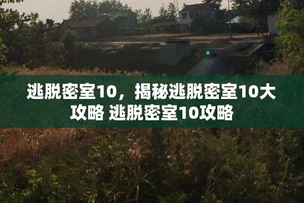 逃脱密室10，揭秘逃脱密室10大攻略 逃脱密室10攻略