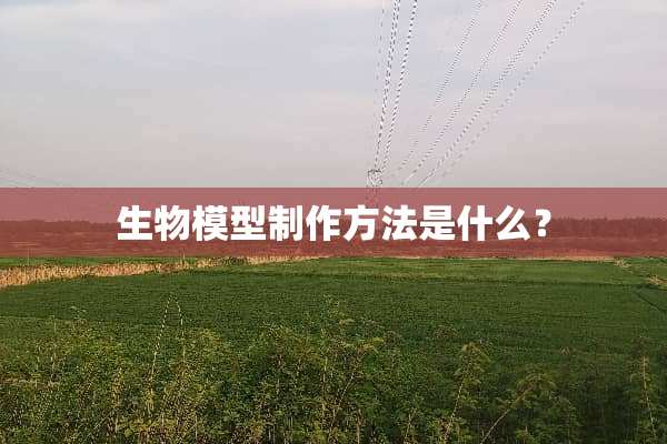 生物模型制作方法是什么？