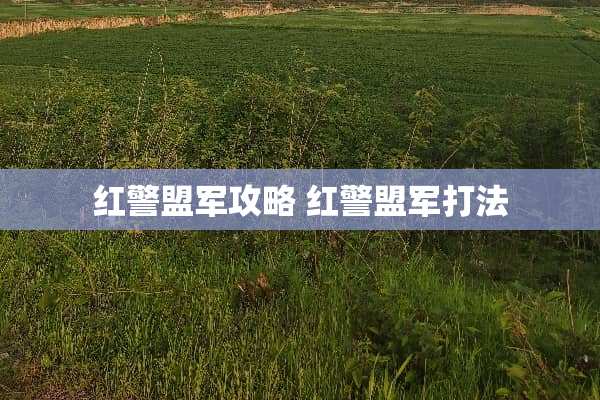 红警盟军攻略 红警盟军打法