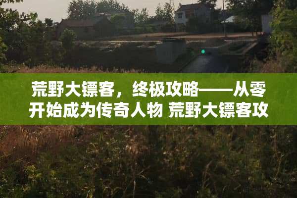 荒野大镖客，终极攻略——从零开始成为传奇人物 荒野大镖客攻略