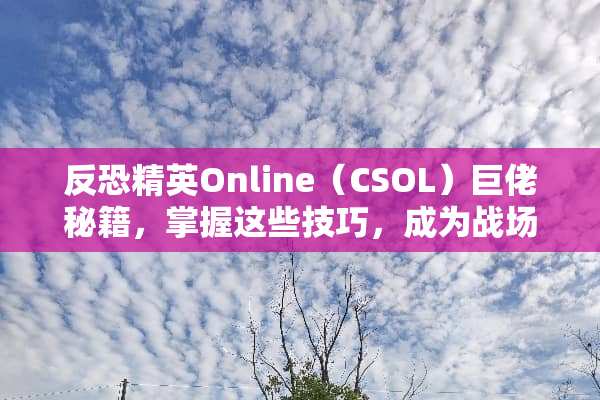 反恐精英Online（CSOL）巨佬秘籍，掌握这些技巧，成为战场霸主 csol巨佬的游戏攻略
