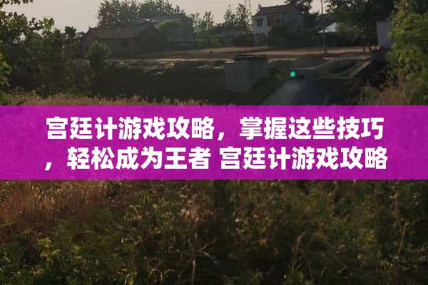 宫廷计游戏攻略，掌握这些技巧，轻松成为王者 宫廷计游戏攻略