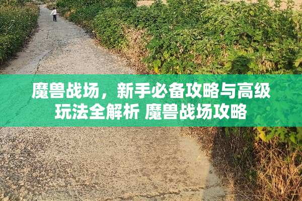 魔兽战场，新手必备攻略与高级玩法全解析 魔兽战场攻略
