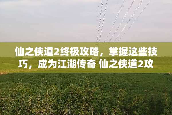 仙之侠道2终极攻略，掌握这些技巧，成为江湖传奇 仙之侠道2攻略