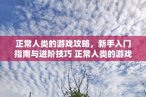 正常人类的游戏攻略，新手入门指南与进阶技巧 正常人类的游戏攻略3
