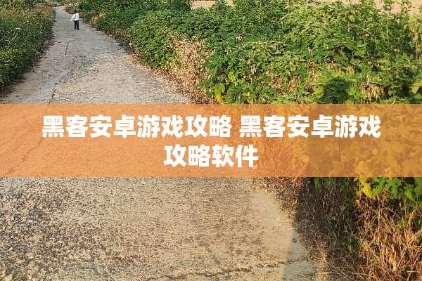 黑客安卓游戏攻略 黑客安卓游戏攻略软件