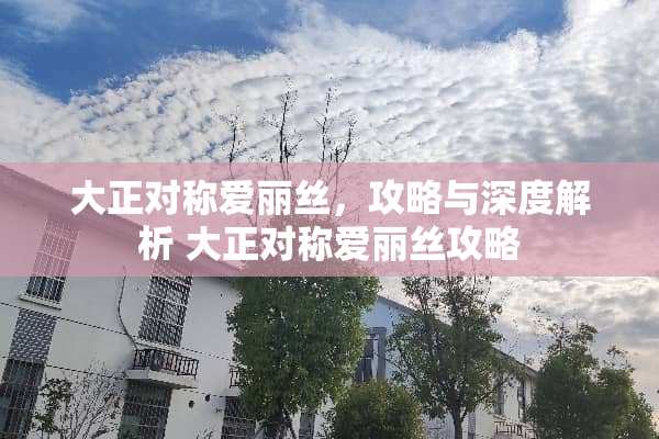 大正对称爱丽丝，攻略与深度解析 大正对称爱丽丝攻略