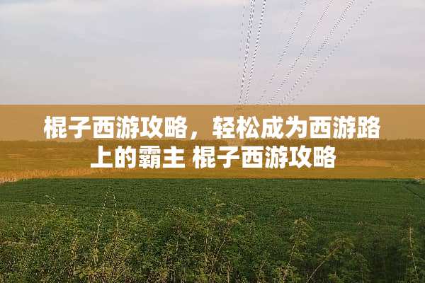 棍子西游攻略，轻松成为西游路上的霸主 棍子西游攻略