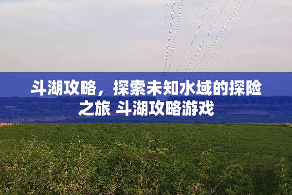 斗湖攻略，探索未知水域的探险之旅 斗湖攻略游戏