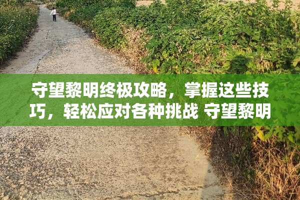 守望黎明终极攻略，掌握这些技巧，轻松应对各种挑战 守望黎明攻略