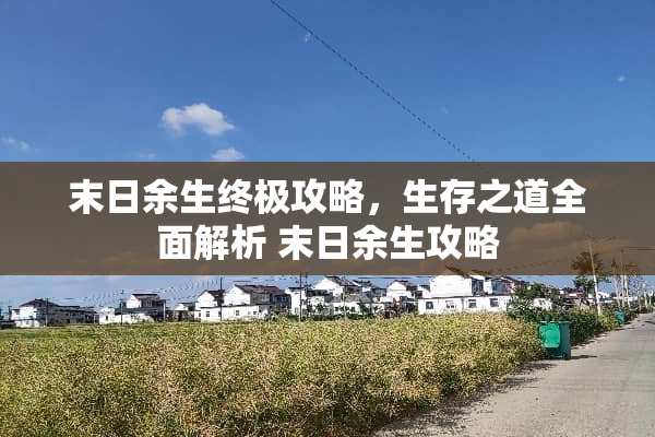 末日余生终极攻略，生存之道全面解析 末日余生攻略