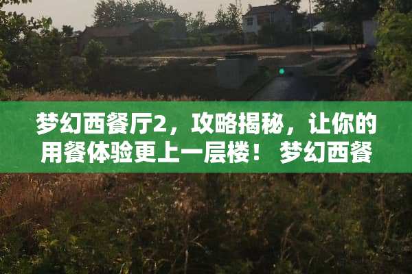 梦幻西餐厅2，攻略揭秘，让你的用餐体验更上一层楼！ 梦幻西餐厅2攻略