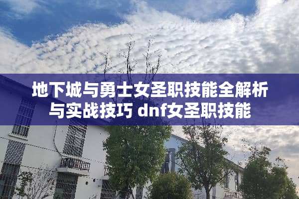 **城与勇士女圣职技能全解析与实战技巧 dnf女圣职技能