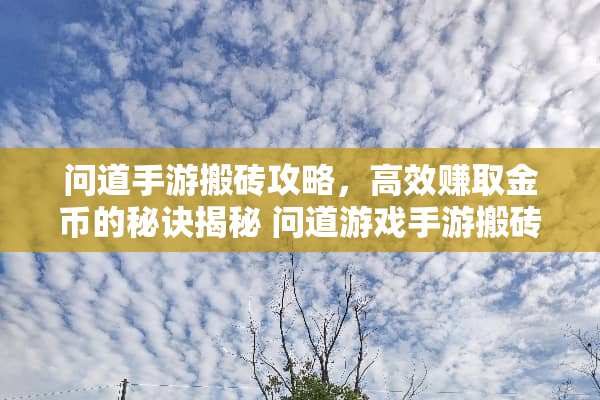 问道手游搬砖攻略，高效赚取金币的秘诀揭秘 问道游戏手游搬砖攻略