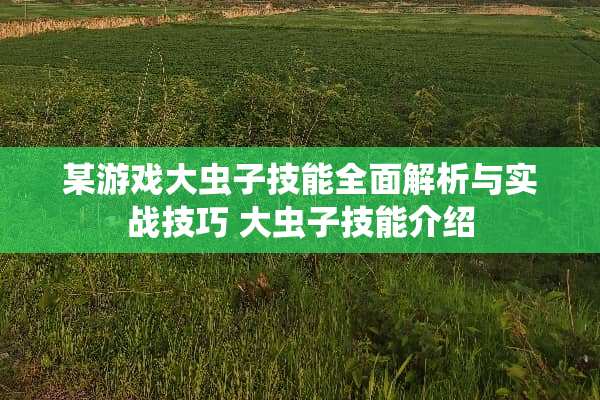 某游戏大虫子技能全面解析与实战技巧 大虫子技能介绍