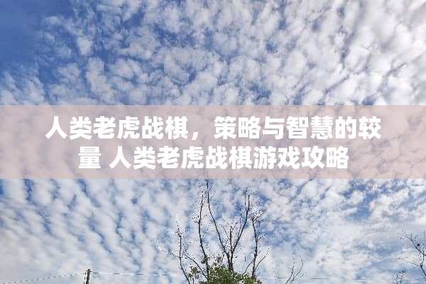 人类老虎战棋，策略与智慧的较量 人类老虎战棋游戏攻略