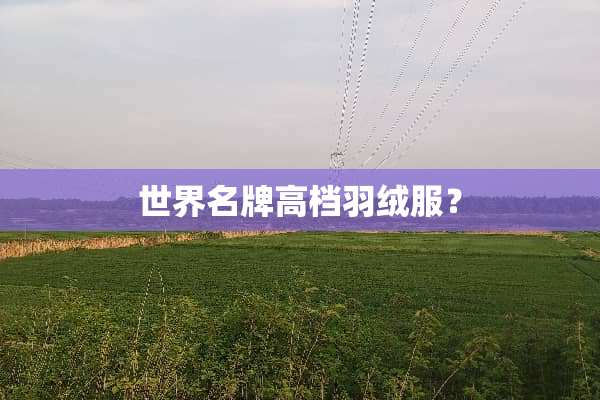 世界名牌高档羽绒服？