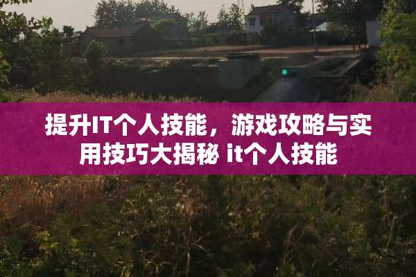 提升IT个人技能，游戏攻略与实用技巧大揭秘 it个人技能