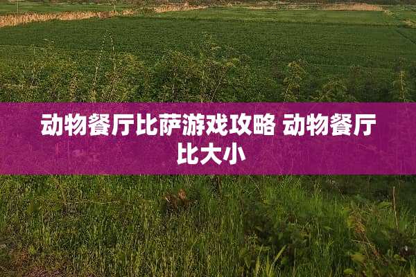 动物餐厅比萨游戏攻略 动物餐厅 比大小