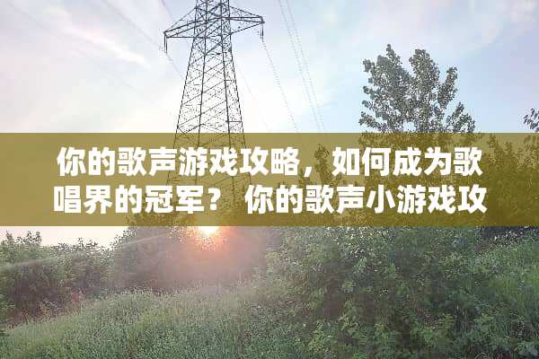 你的歌声游戏攻略，如何成为歌唱界的冠军？ 你的歌声小游戏攻略