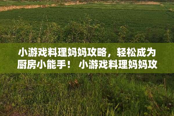 小游戏料理妈妈攻略，轻松成为厨房小能手！ 小游戏料理妈妈攻略