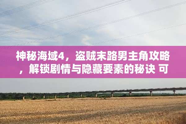 神秘海域4，盗贼末路男主角攻略，解锁剧情与隐藏要素的秘诀 可以攻略男主的游戏
