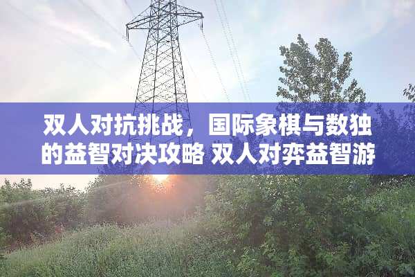 双人对抗挑战，国际象棋与数独的益智对决攻略 双人对弈益智游戏攻略