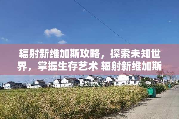 辐射新维加斯攻略，探索未知世界，掌握生存艺术 辐射新维加斯攻略