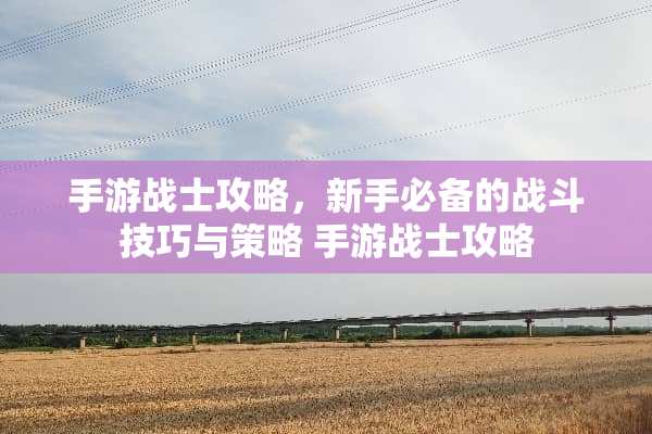 手游战士攻略，新手必备的战斗技巧与策略 手游战士攻略