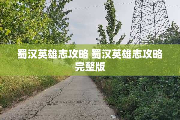 蜀汉英雄志攻略 蜀汉英雄志攻略完整版