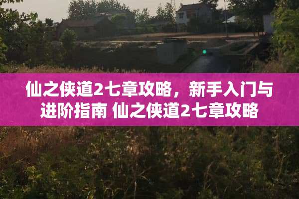 仙之侠道2七章攻略，新手入门与进阶指南 仙之侠道2七章攻略