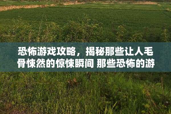 恐怖游戏攻略，揭秘那些让人毛骨悚然的惊悚瞬间 那些恐怖的游戏攻略