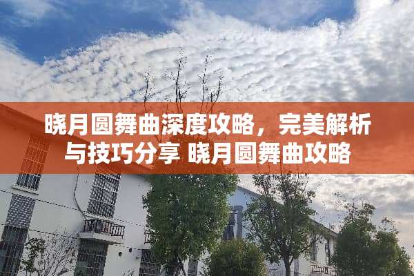 晓月圆舞曲深度攻略，完美解析与技巧分享 晓月圆舞曲攻略