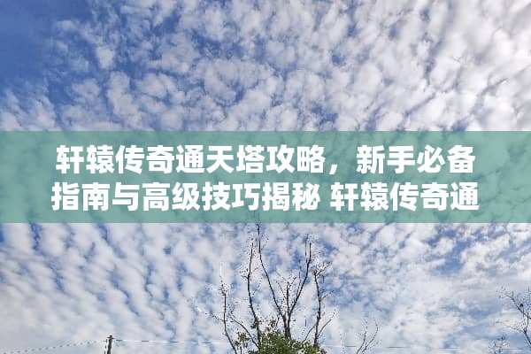 轩辕传奇通天塔攻略，新手必备指南与高级技巧揭秘 轩辕传奇通天塔攻略