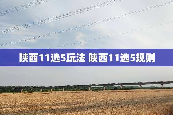陕西11选5玩法 陕西11选5规则