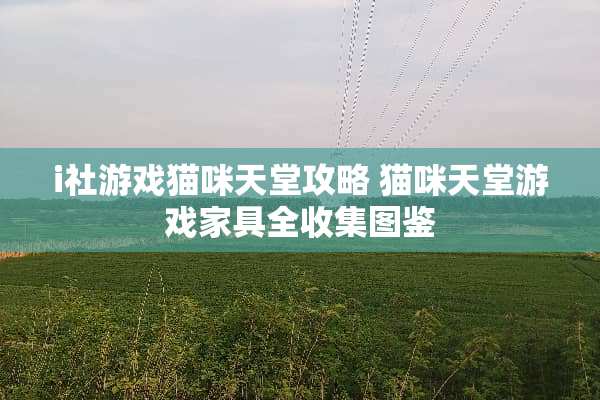 i社游戏猫咪天堂攻略 猫咪天堂游戏家具全收集图鉴