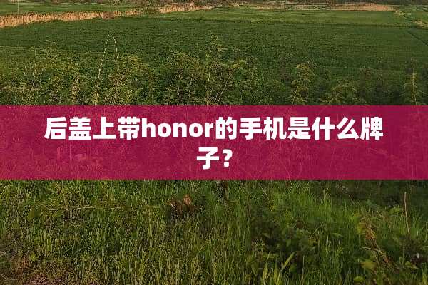 后盖上带honor的手机是什么牌子？
