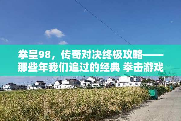 拳皇98，传奇对决终极攻略——那些年我们追过的经典 拳击游戏的回忆攻略