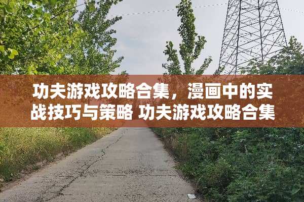 功夫游戏攻略合集，漫画中的实战技巧与策略 功夫游戏攻略合集漫画