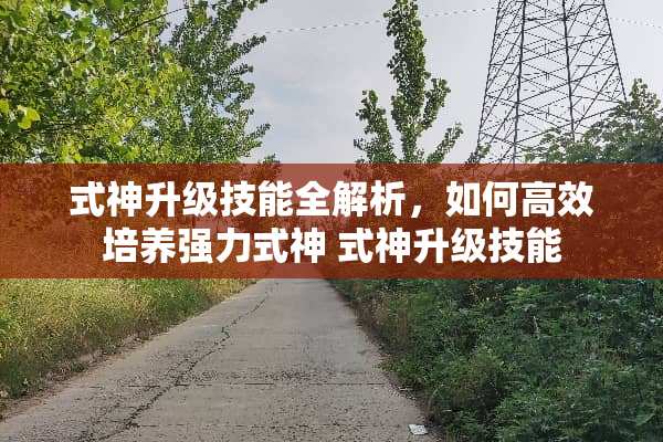 式神升级技能全解析，如何高效培养强力式神 式神升级技能