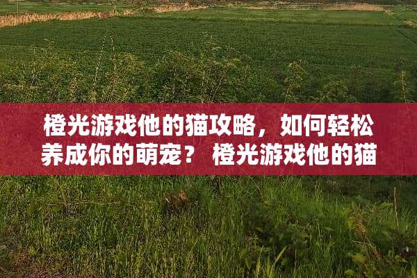 橙光游戏他的猫攻略，如何轻松养成你的萌宠？ 橙光游戏他的猫攻略