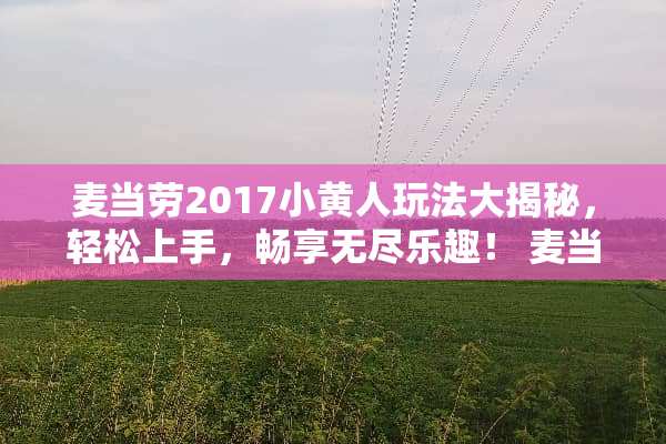 麦当劳2017小黄人玩法大揭秘，轻松上手，畅享无尽乐趣！ 麦当劳2017小黄人玩法