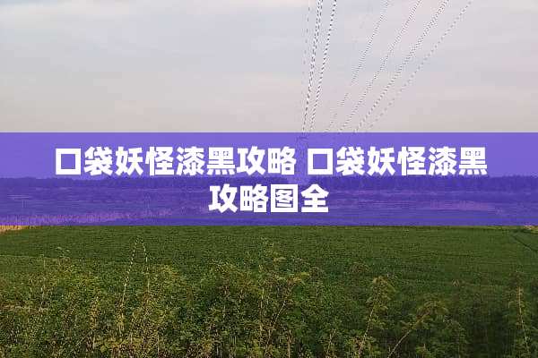 口袋妖怪漆黑攻略 口袋妖怪漆黑攻略图全