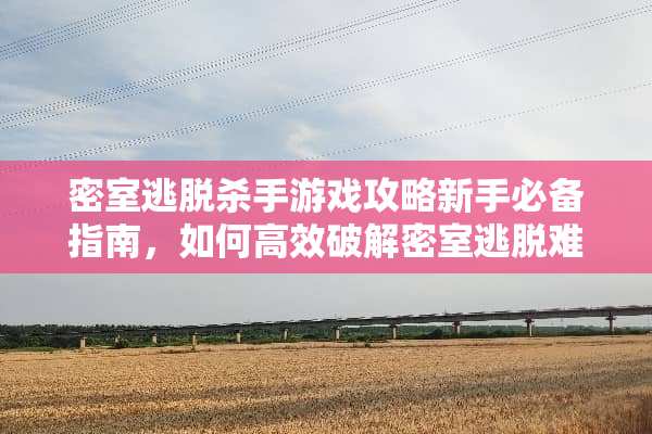 密室逃脱**游戏攻略新手必备指南，如何高效**密室逃脱难题？ 密室逃脱**游戏攻略