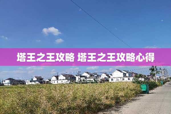 塔王之王攻略 塔王之王攻略心得