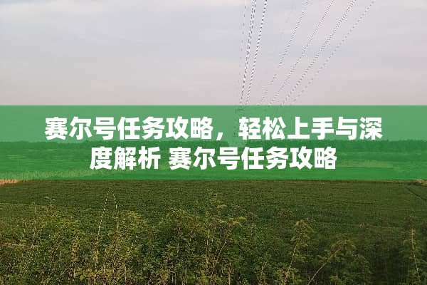赛尔号任务攻略，轻松上手与深度解析 赛尔号任务攻略