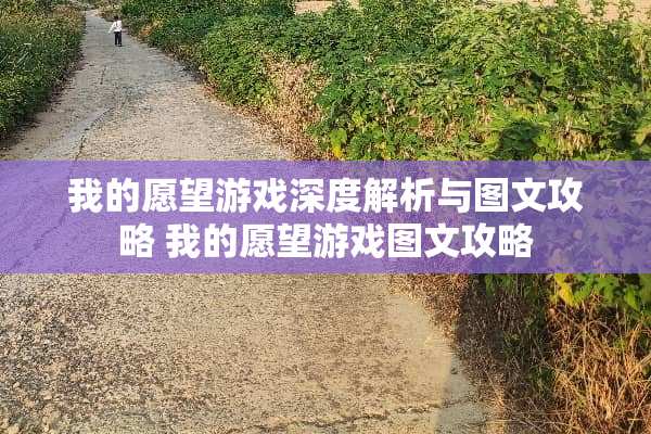 我的愿望游戏深度解析与图文攻略 我的愿望游戏图文攻略